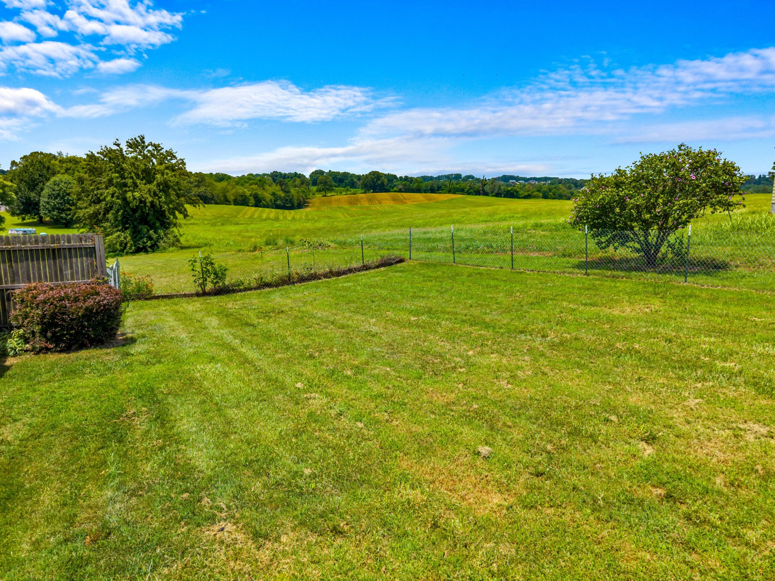 923 Red Oak Lane