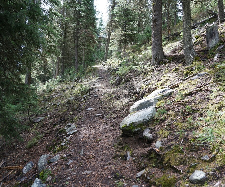 TBD Low Dog Road