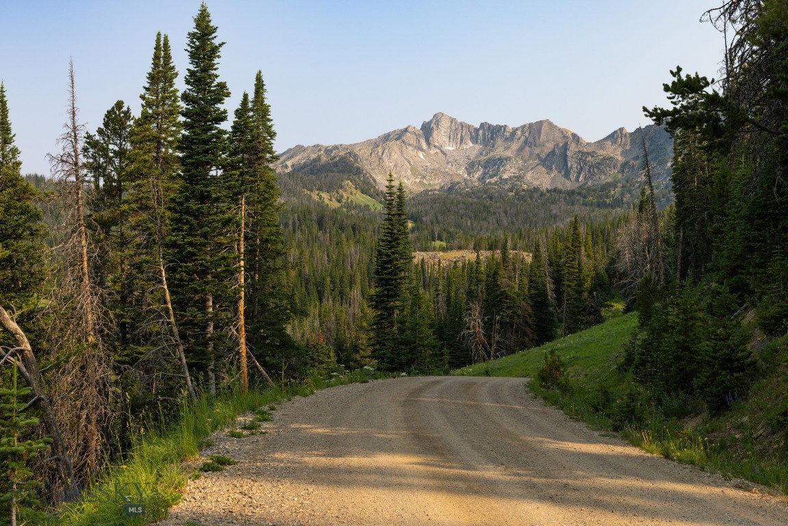 TBD Upper Beehive Loop Road