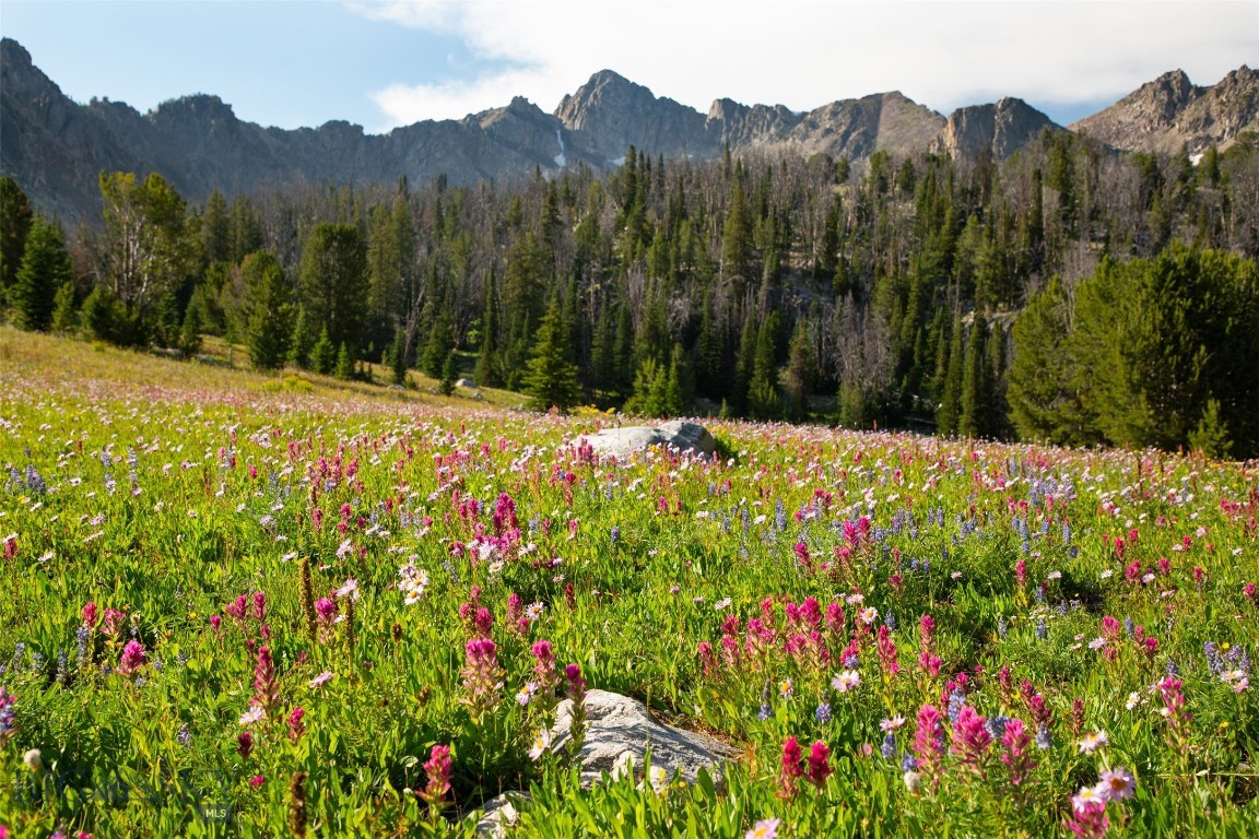 TBD Upper Beehive Loop Road