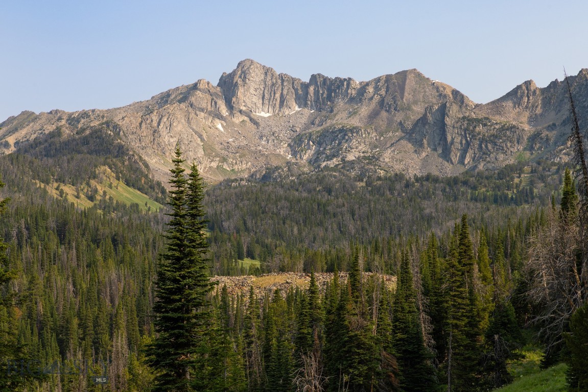TBD Upper Beehive Loop Road