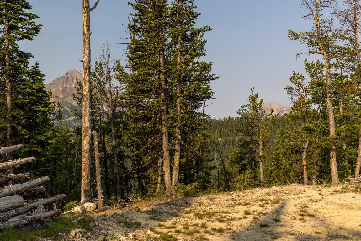 TBD Upper Beehive Loop Road