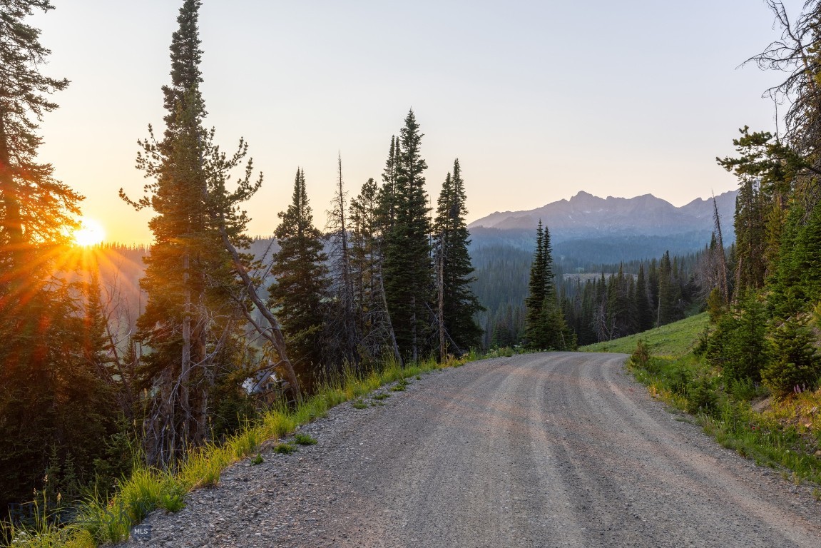 TBD Upper Beehive Loop Road