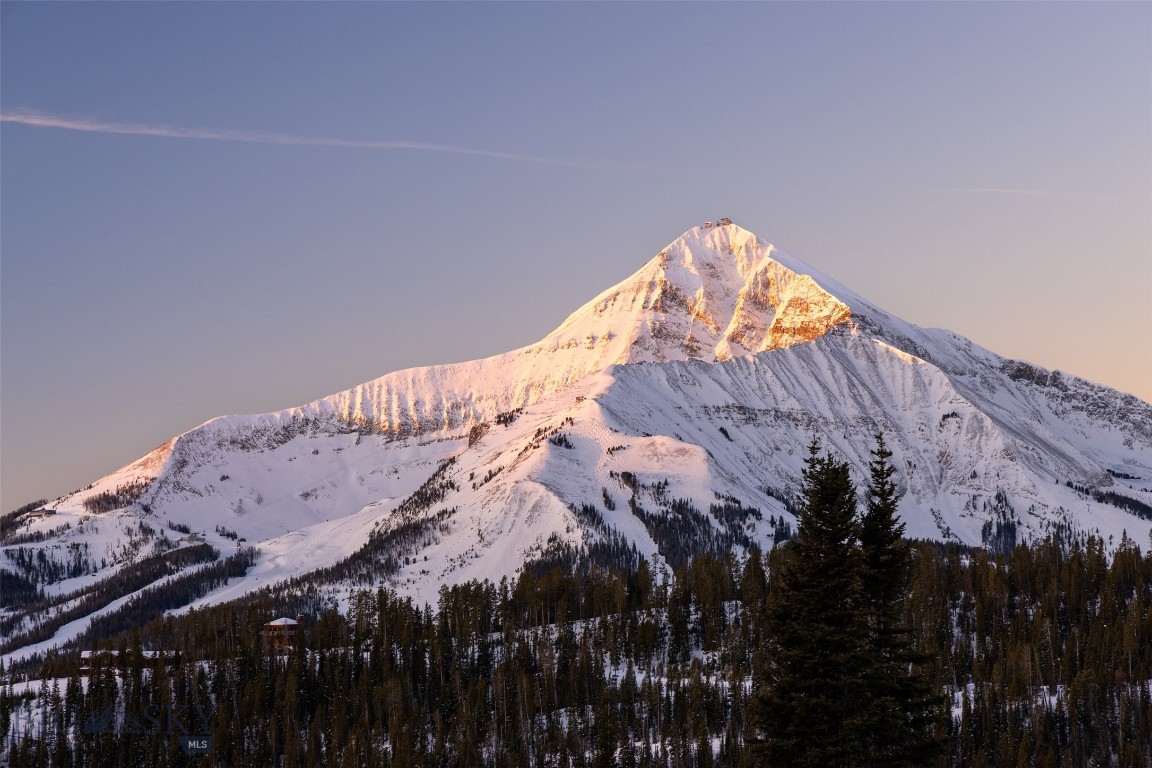 TBD Upper Beehive Loop Road