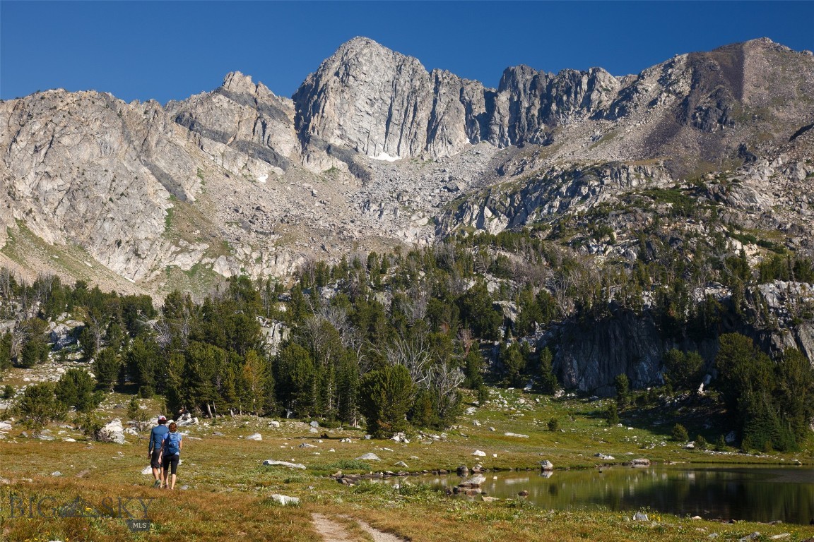 TBD Upper Beehive Loop Road