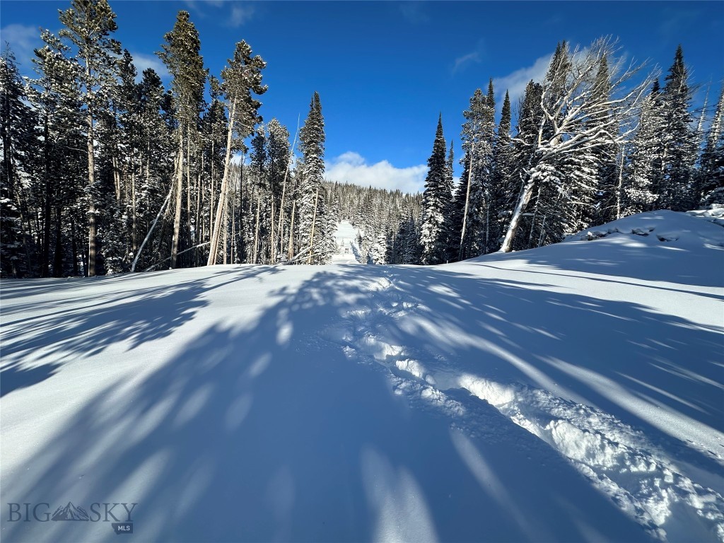 TBD Upper Beehive Loop Road