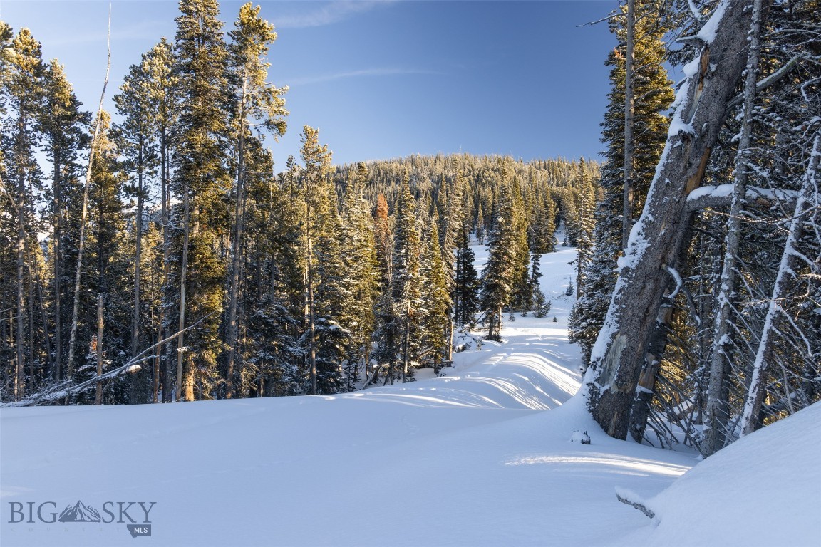 TBD Upper Beehive Loop Road