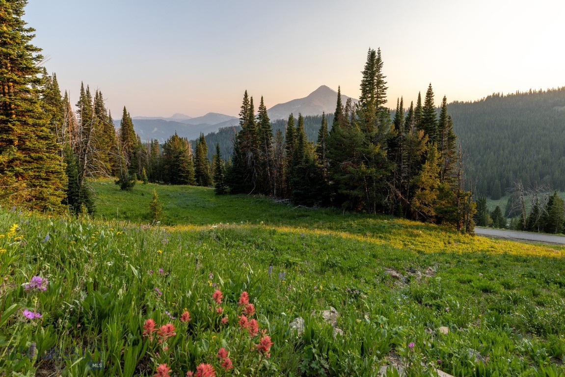 TBD Upper Beehive Loop Road