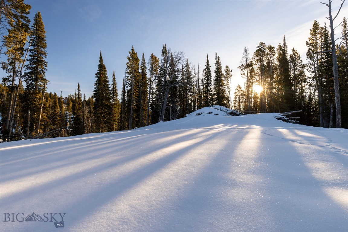TBD Upper Beehive Loop Road