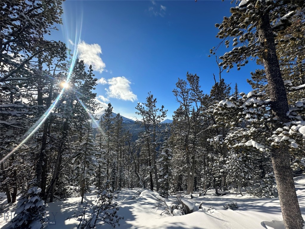 TBD Upper Beehive Loop Road