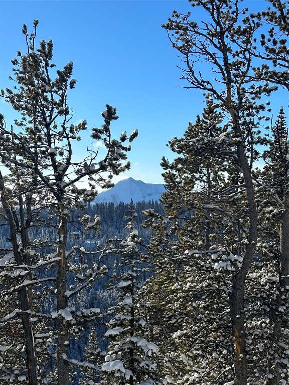 TBD Upper Beehive Loop Road