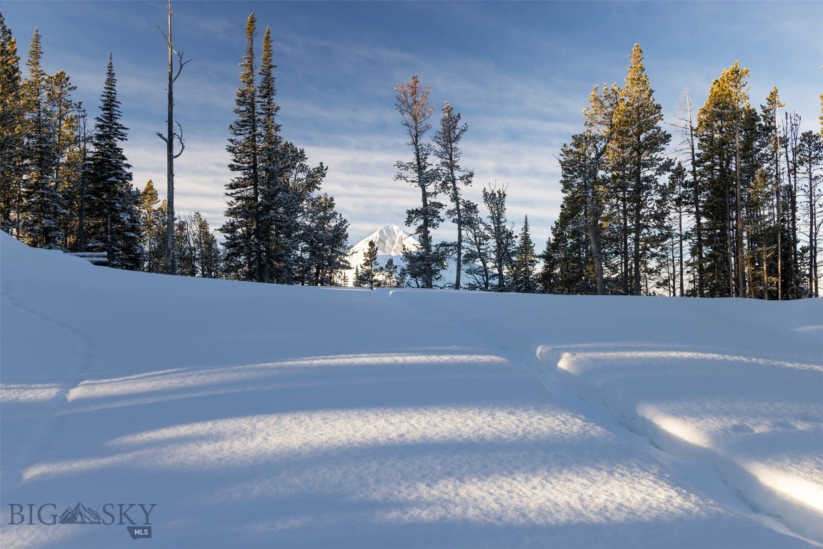 TBD Upper Beehive Loop Road
