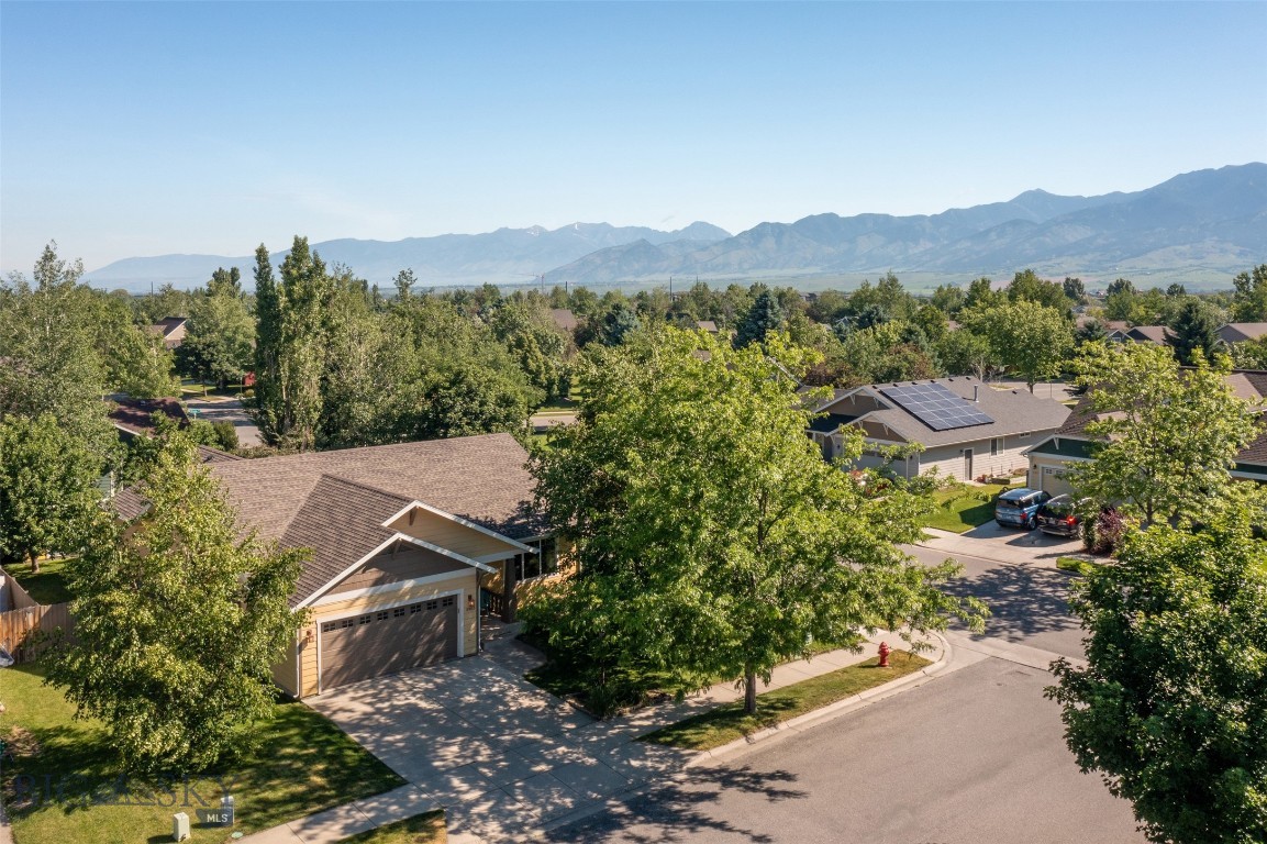 2903 Lily Drive