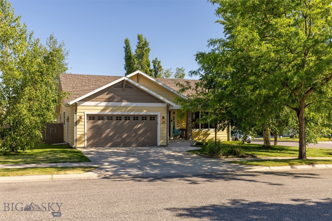 2903 Lily Drive