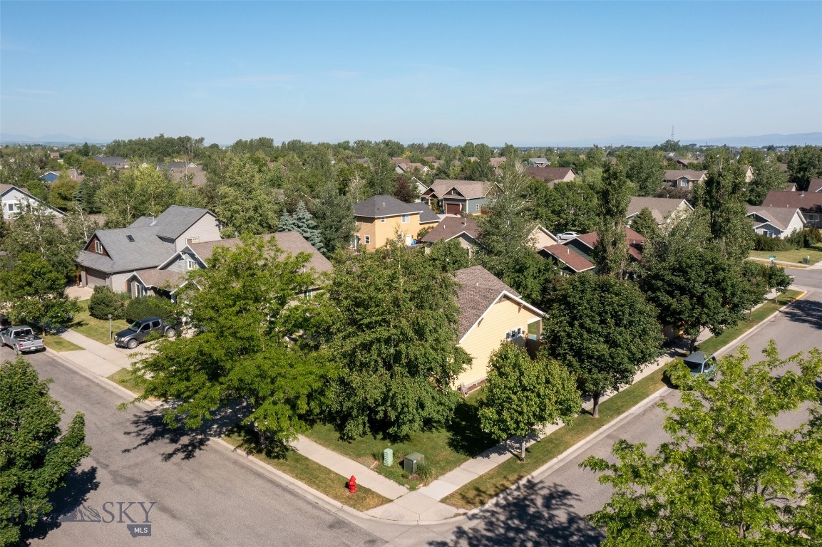 2903 Lily Drive