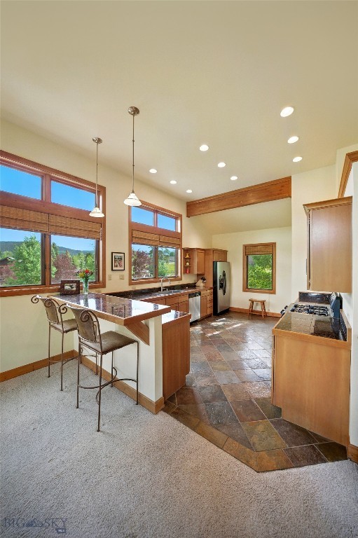 2130 Looking Glass