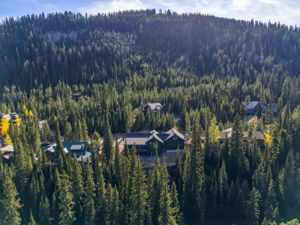 Aerial view of a home surrounded by evergreen forest, with a wooded mountain ridge behind it.