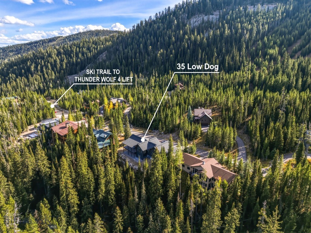 Aerial view of 35 Low Dog Road among evergreens, with a ski trail to Thunder Wolf 4 Lift marked nearby.