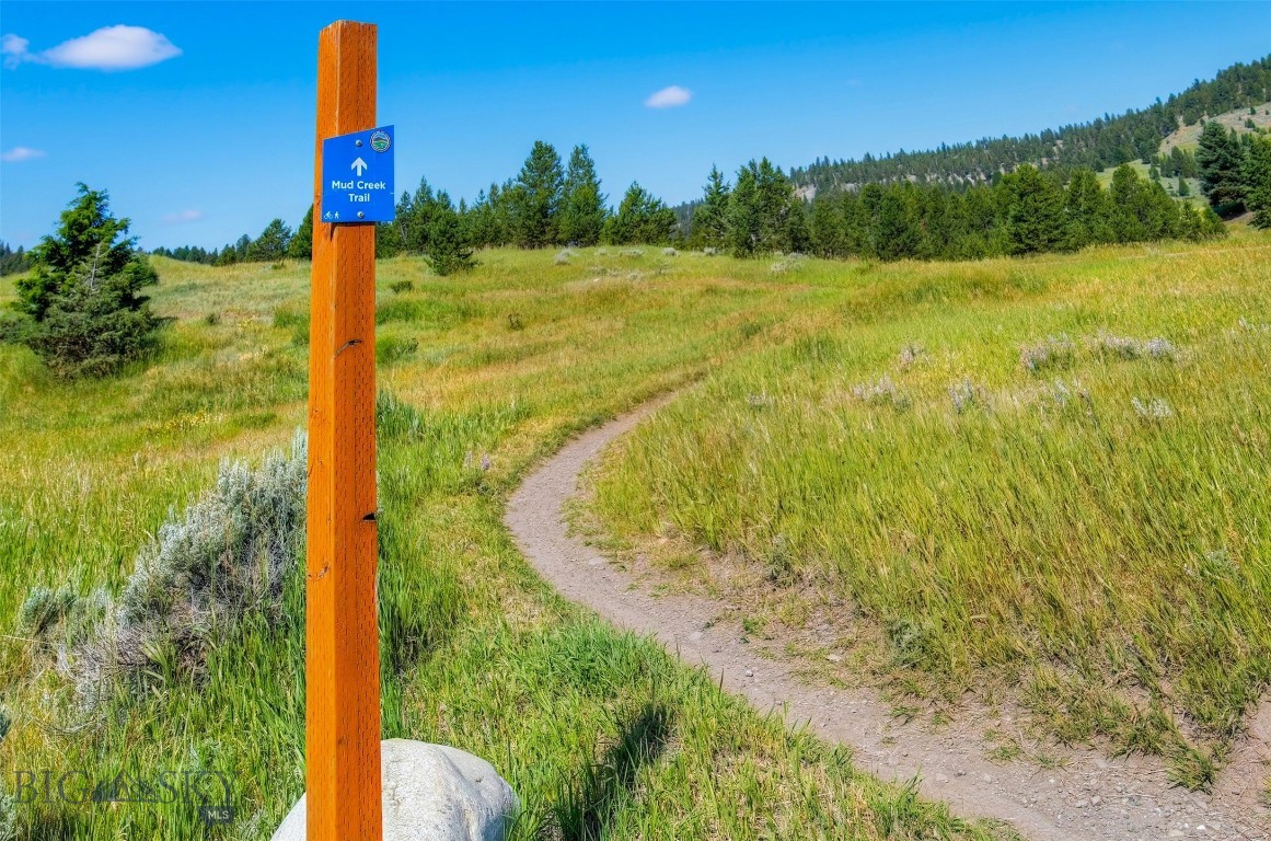 TBD Colters Run 13