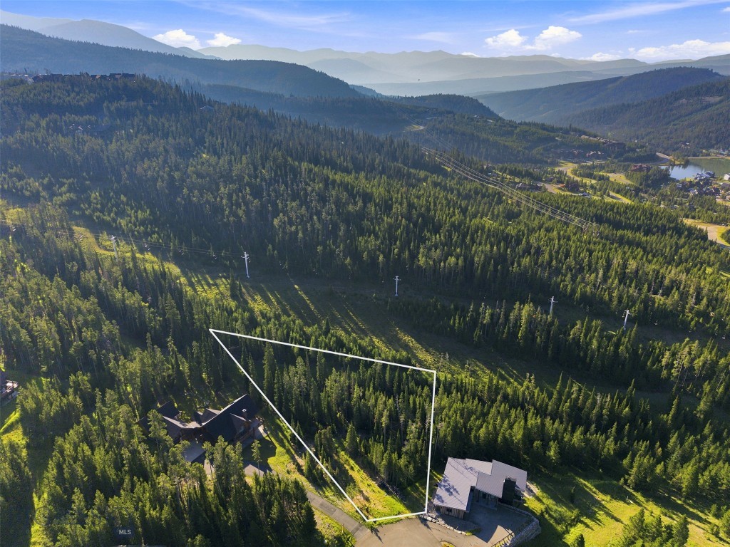 40 Swift Bear