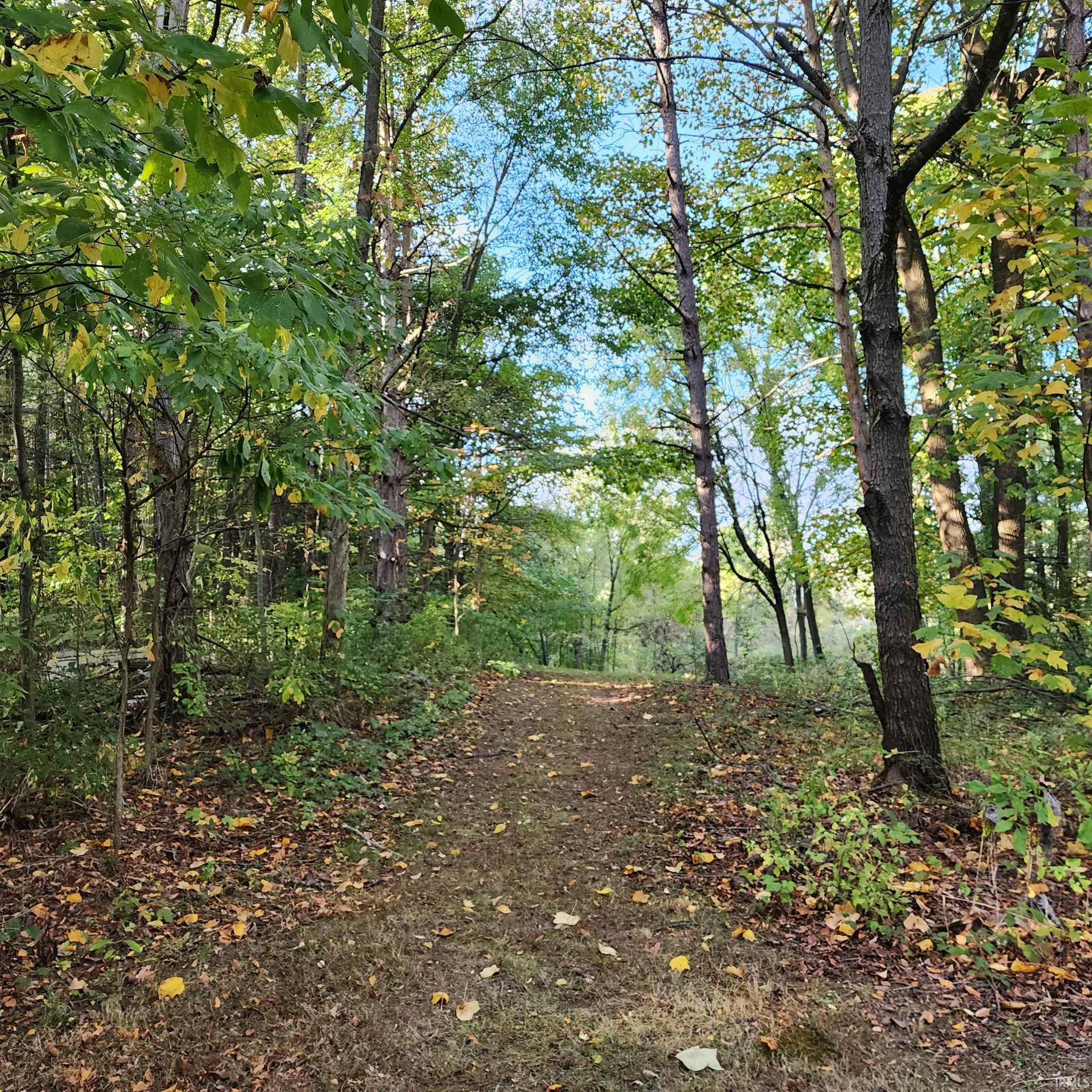 67855 Linden Road