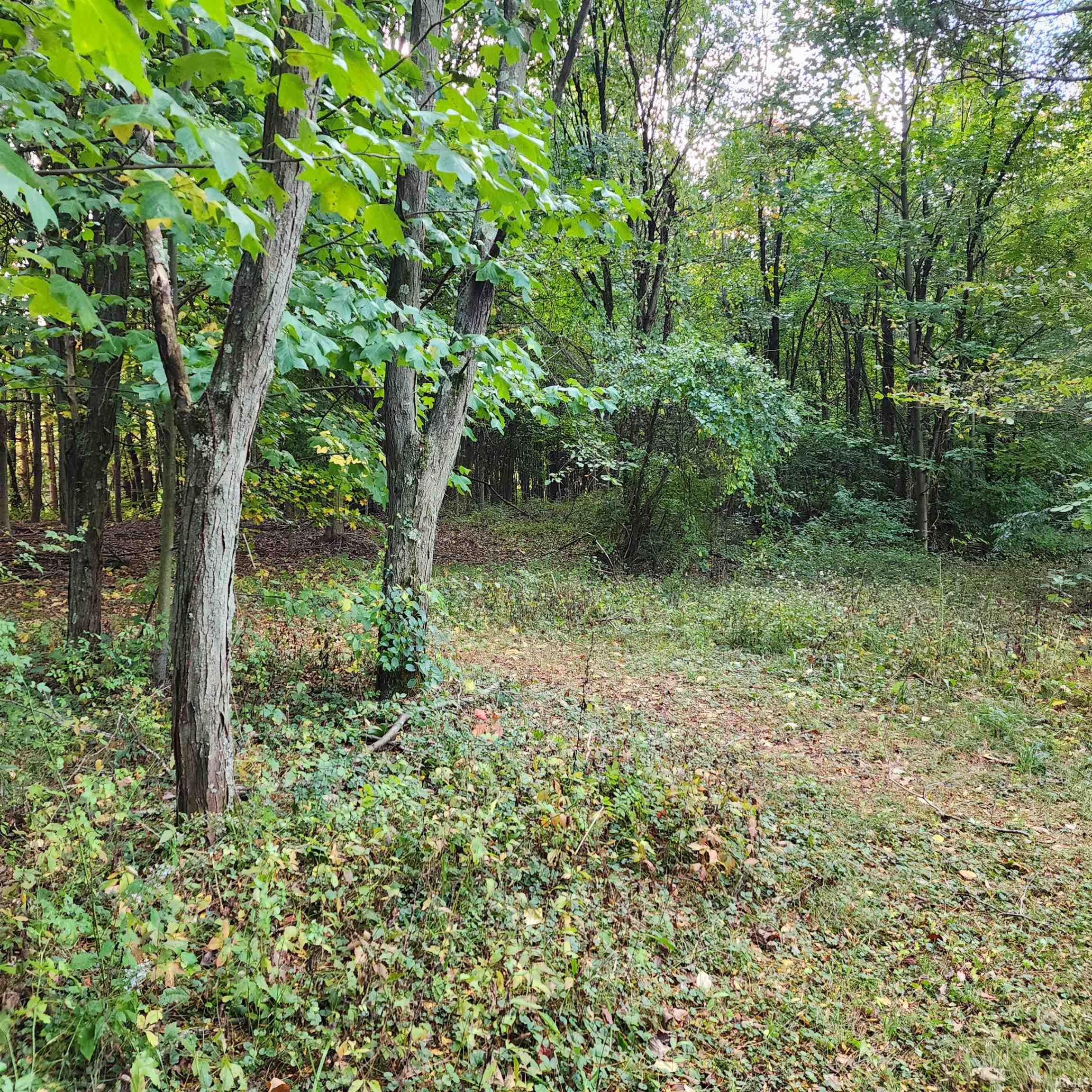 67855 Linden Road