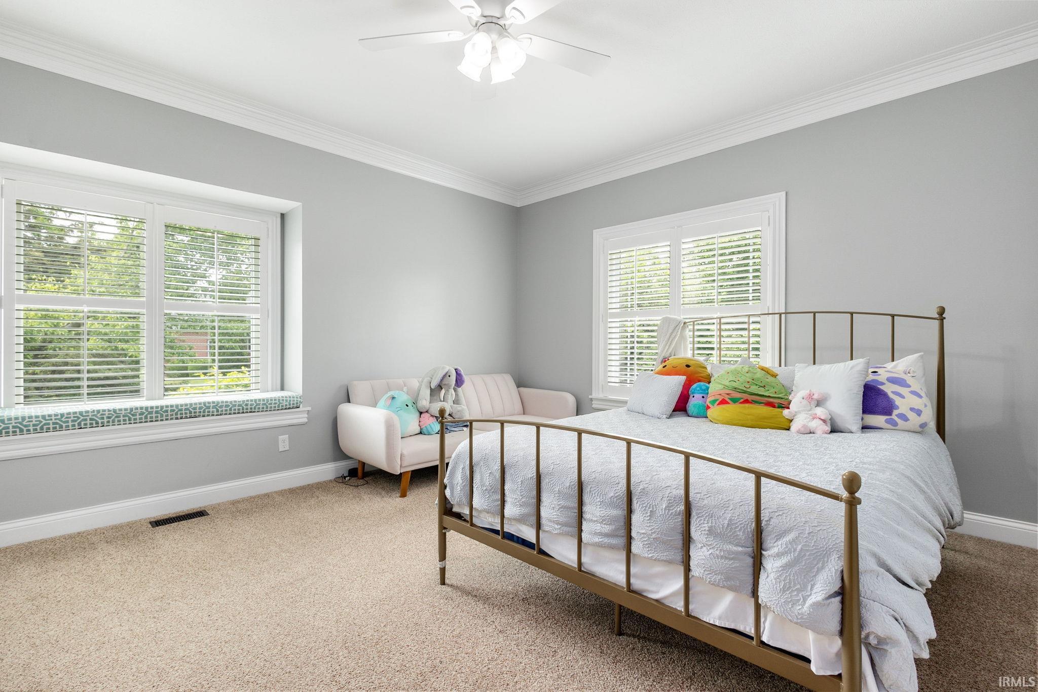 11070 Birch Lake Drive