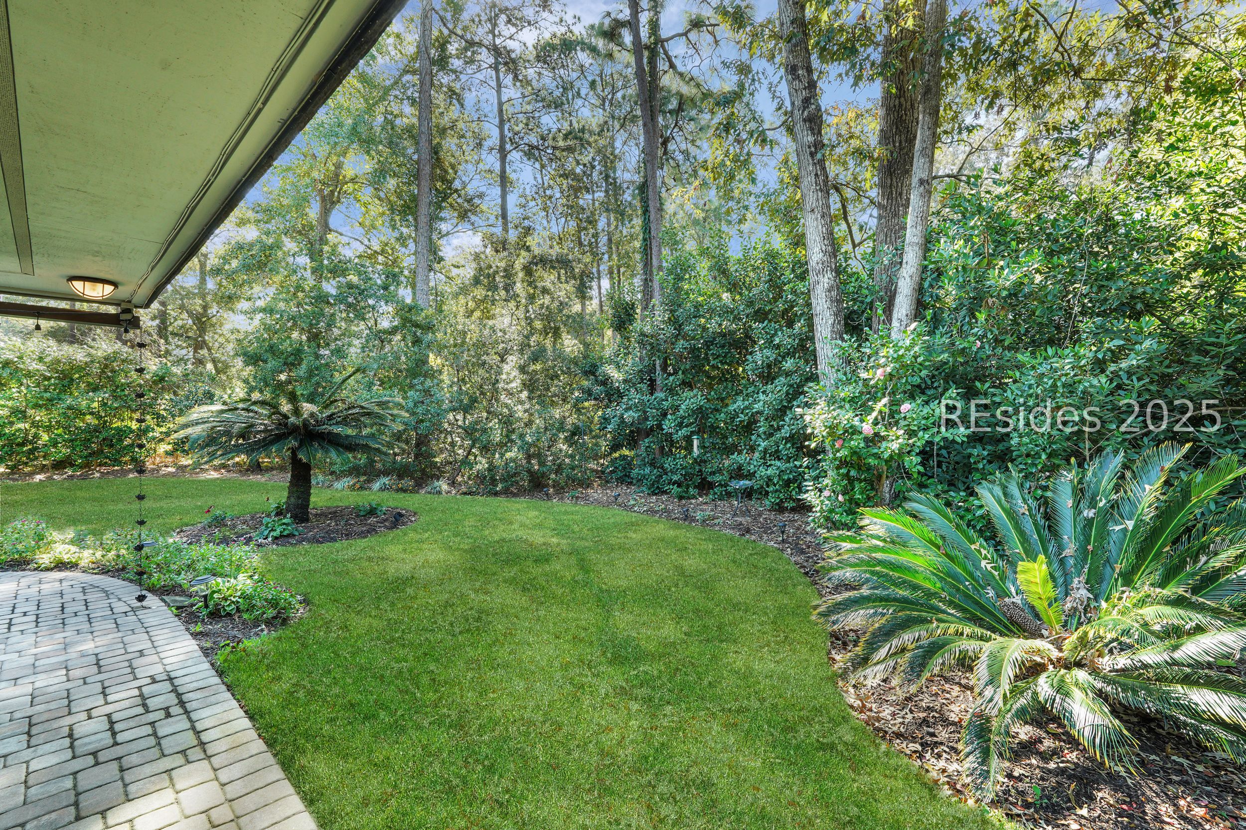 20 China Cockle Lane