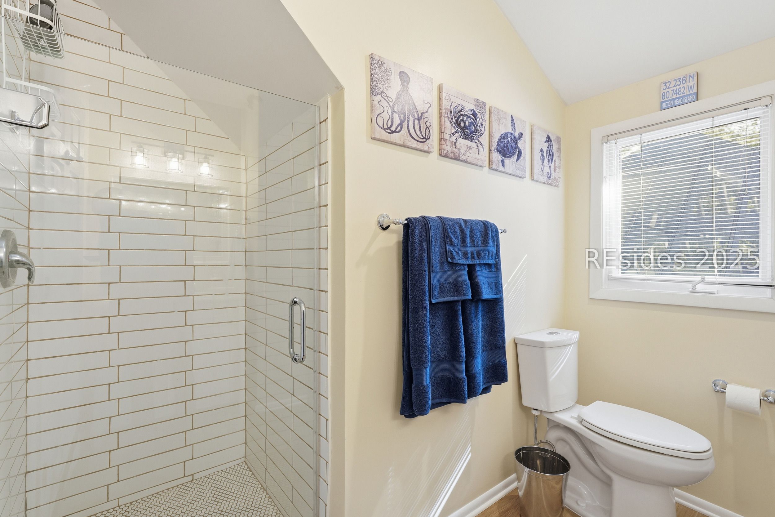 20 China Cockle Lane