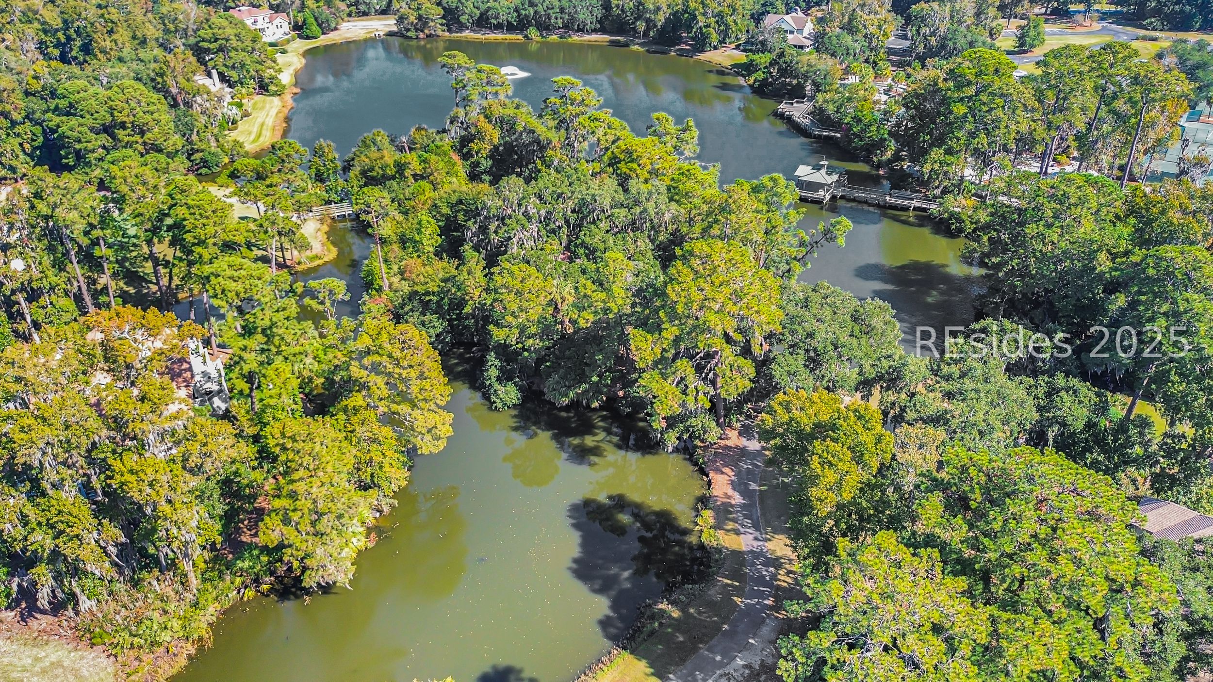 20 China Cockle Lane