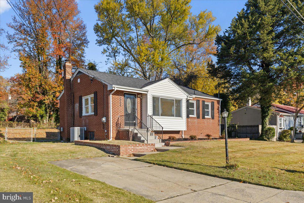 2004 WOLF STREET