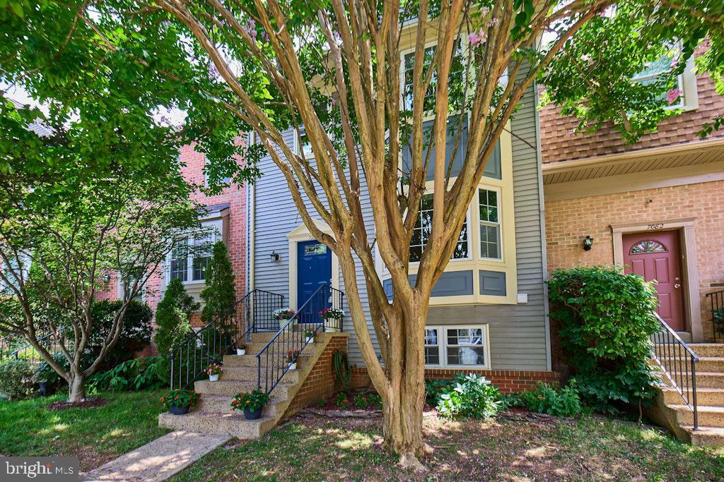 7084 Solomon Seal Ct