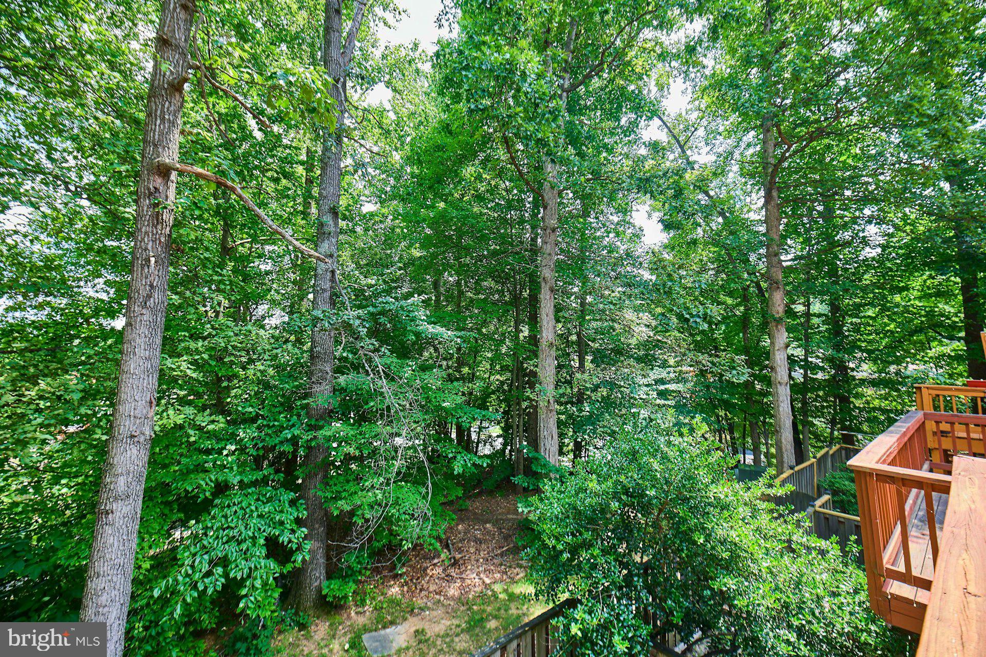 7084 Solomon Seal Ct