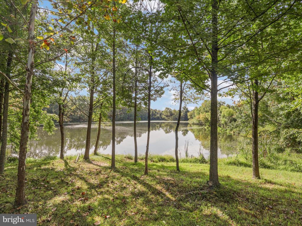 8703 FLOWERING DOGWOOD LANE