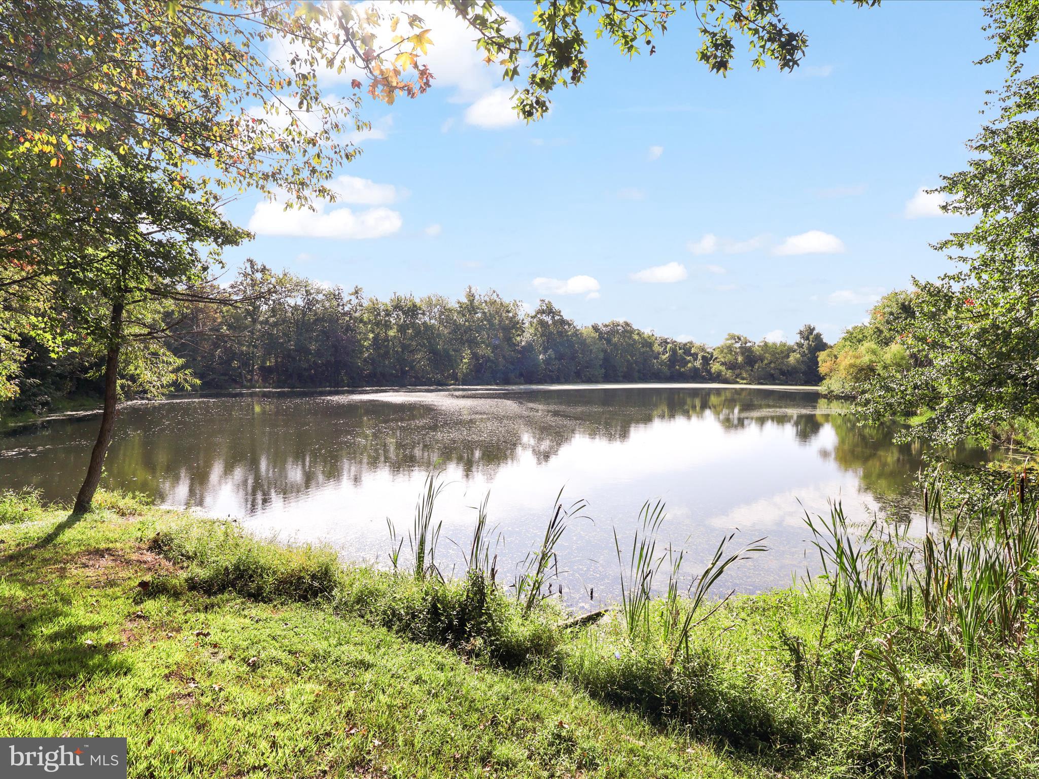 8703 FLOWERING DOGWOOD LANE