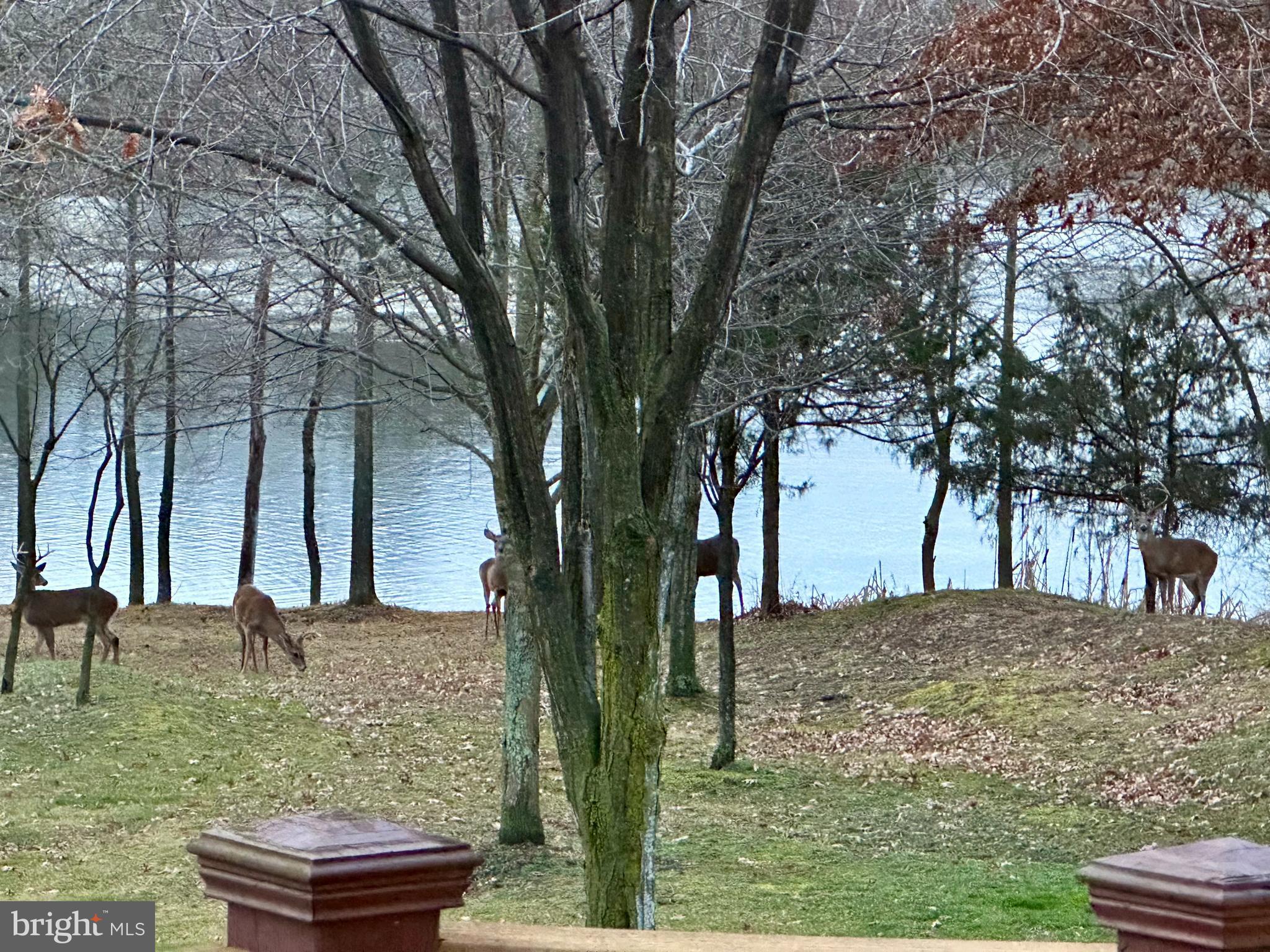 8703 FLOWERING DOGWOOD LANE