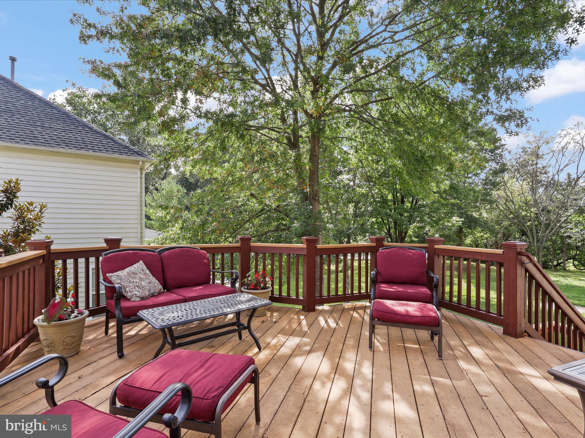 8703 FLOWERING DOGWOOD LANE