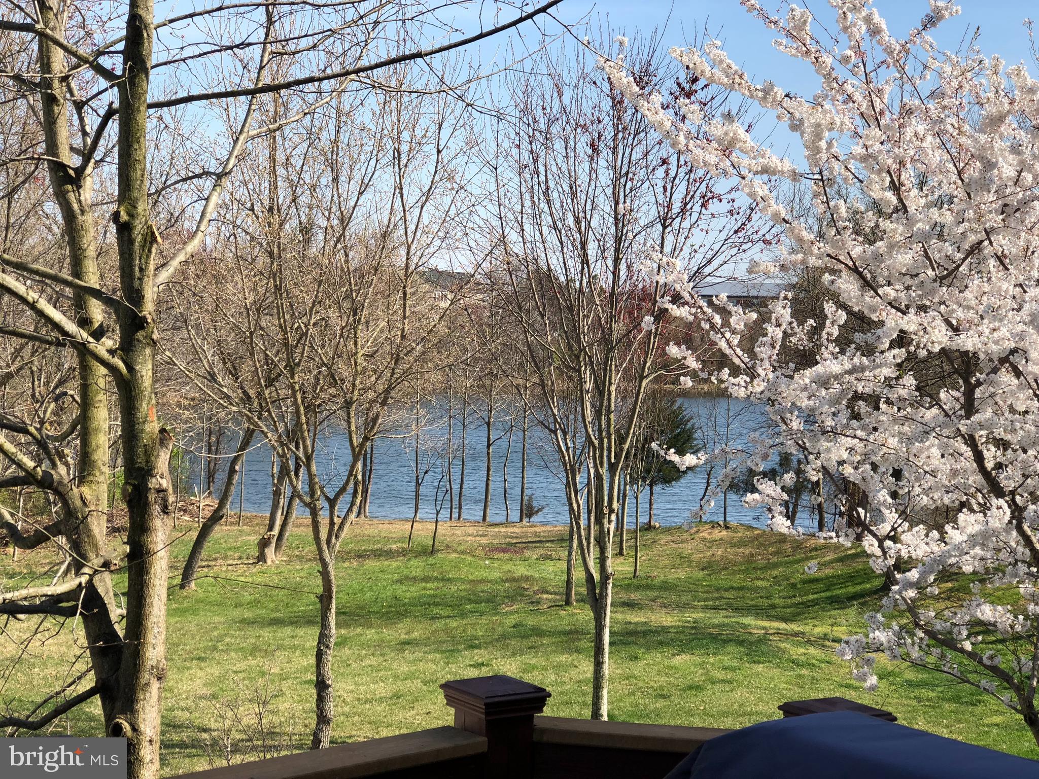 8703 FLOWERING DOGWOOD LANE