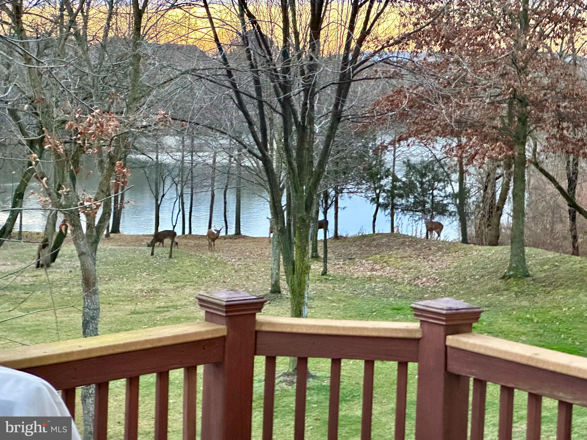 8703 FLOWERING DOGWOOD LANE