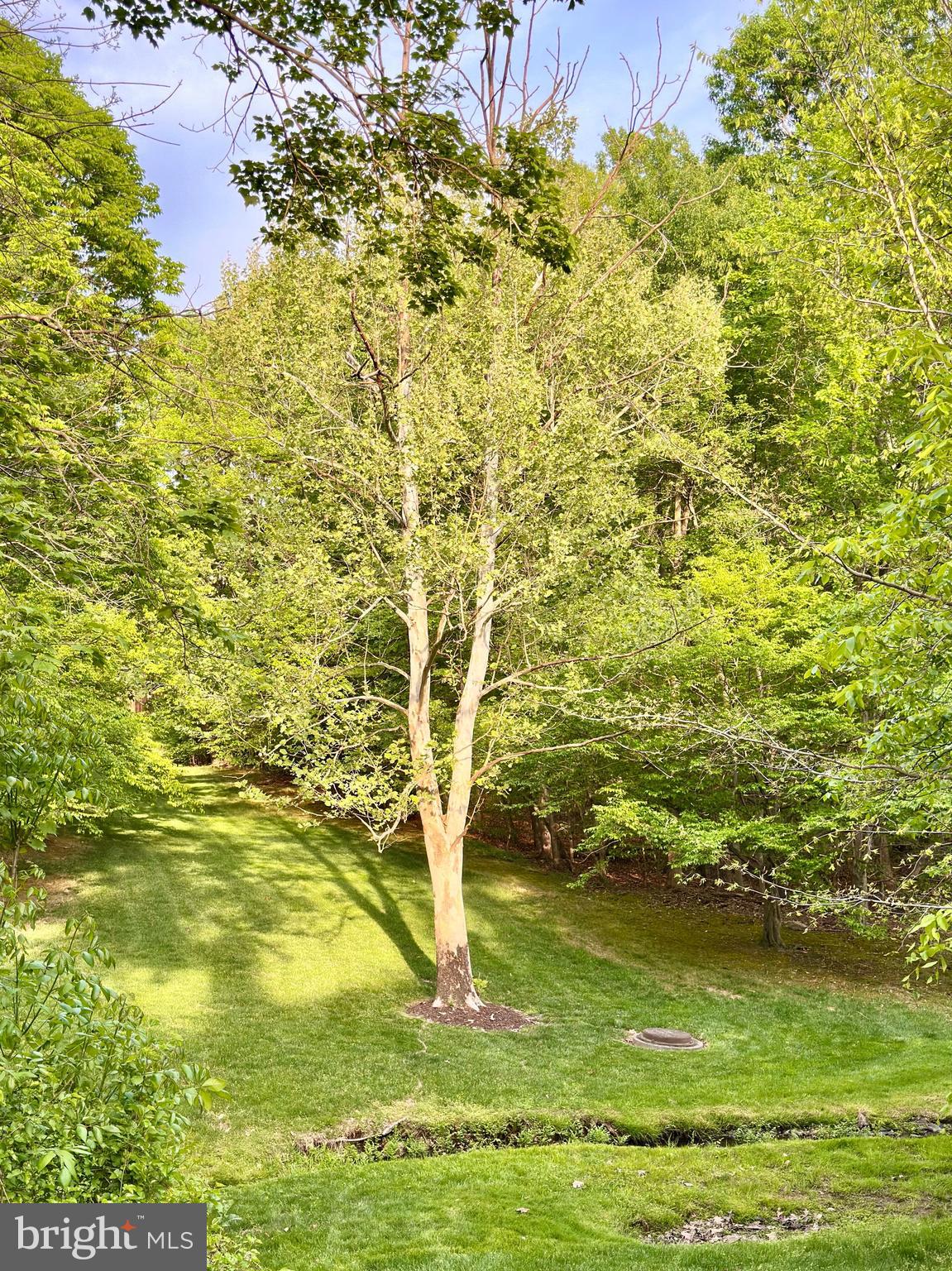 7929 VALLEYFIELD DRIVE