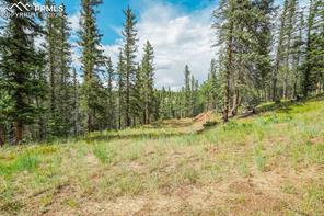 921 Kiowa Road