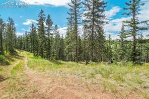921 Kiowa Road