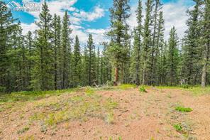 921 Kiowa Road