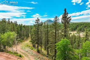 921 Kiowa Road
