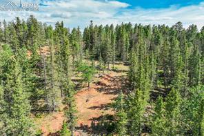 921 Kiowa Road