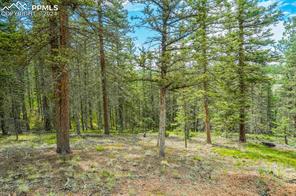 921 Kiowa Road