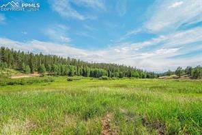 921 Kiowa Road