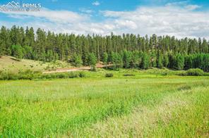 921 Kiowa Road