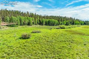 921 Kiowa Road