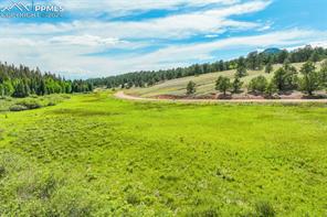 921 Kiowa Road
